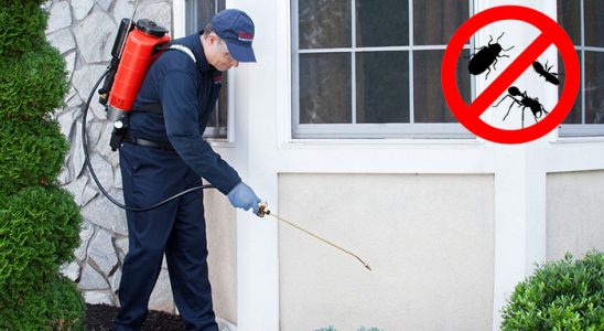 Yerköy Kene İlaçlama böcek ilaçlama ve haşere kontrolü — ilaclama-tr.com